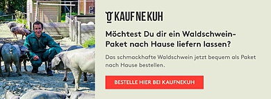 kaufnekuh
